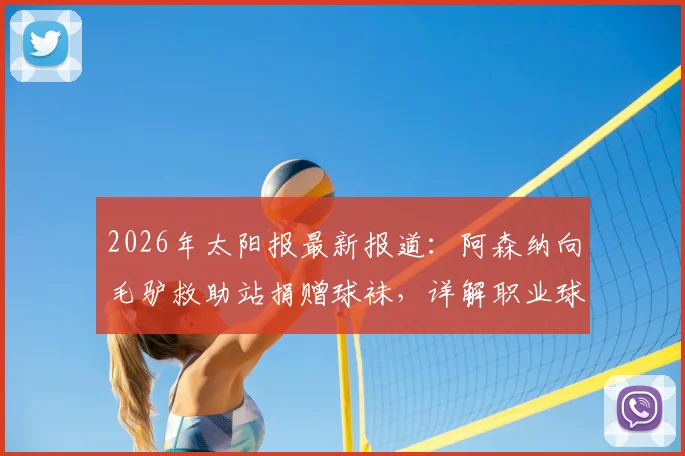 2026年太阳报最新报道：阿森纳向毛驴救助站捐赠球袜，详解职业球袜如何有效防护毛驴腿部免遭叮咬